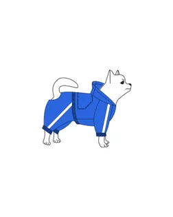 Выкройка: спортивный костюм (для мальчика) Р-11-1001 арт. ВКК-2683-7-ВП0445