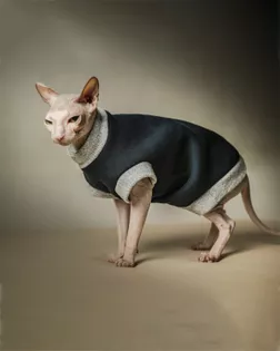 Выкройка: жилет трикотажный CAT Р-22-1001 арт. ВКК-2885-10-ВП0564