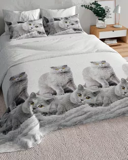 Серый британец (Бязь 220 см) арт. ХБ-755-1-1084.006