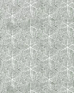 ПОПЛИН наб, шир.220 , пл.115+/-7 гр/м, диз. 1288-2П Грунт Контуринг арт. ПРО-267-1-Б00439.038