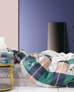 Поплин набивной  шир.220  100 % хл.  пл.115+-5   рис 1301  А+Б арт. ПК-1976-1-Б00475.031