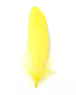 Перо голубя дл.15см 100шт арт. ППР-8-2-33646.002