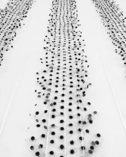 Рюш на сетке Горох арт. С-6-3-20624.003