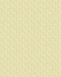 Ситец наб Полина ш.80 пл.85+-4 гр, арт. с53шв  рис. 21916-1 арт. СС80-62-1-Б00655.007