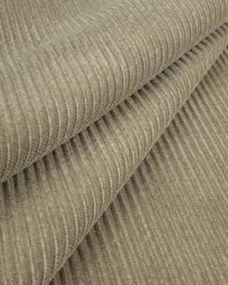 Вельвет  "Бристоль" арт. ВВ-79-1-25978.001