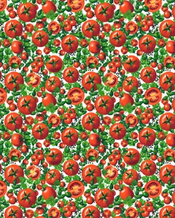 Рогожка 150 см набивная арт 904   рис 29424/1  "Синьор Помидор" арт. РЖК-414-1-1949.133