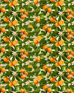 Рогожка 150 см набивная арт 904   рис 29426/1  "Апельсины" арт. РЖК-401-1-1949.127