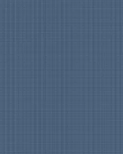 Рогожка 150 см набивная арт 902  рис 29427/1  "Акцент" арт. РЖК-408-1-1948.041