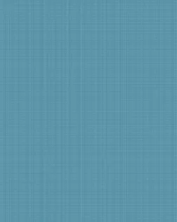 Рогожка 150 см набивная арт 902  рис 29427/3  "Акцент" арт. РЖК-410-1-1948.043