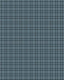 Ситец 95 см набивной арт 44 "Тейково" рис 29513  вид 3  "Городская шахматка" арт. СС-100-1-1947.144