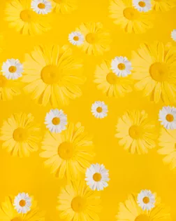 Летняя поляна (Перкаль 220 см) арт. ПРК-1592-2-0163.578