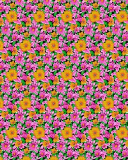 Ситец наб Полина ш.80 пл.85+-4 гр, арт. с53шв  рис. 7224-1 арт. СС80-67-1-Б00655.012