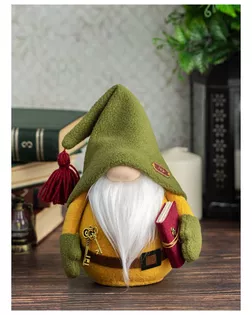 ГД-28 Набор для творчества Серия 'Гномы для дома' Домашний Гном арт. АРС-60106-1-АРС0001296734