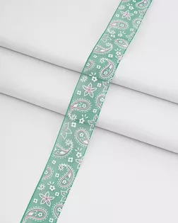 Лента органза 'Турецкий огурец' 2,5см*44,7м+1м (2513 т.зеленый) арт. АРС-63371-1-АРС0001307947