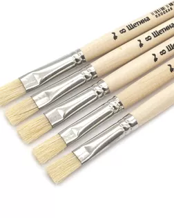 ЩП-07128 Кисть школьная из волоса щетины плоская №8, 5шт/уп, Артком арт. АРС-45212-1-АРС0001242651