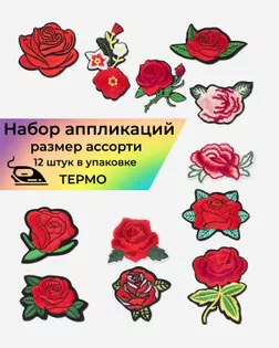 Набор аппликаций термо уп.12шт арт. АДНД-26-1-33628