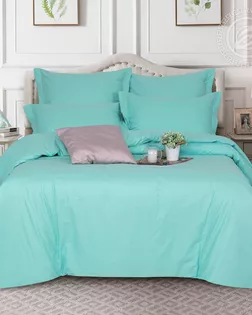 Пододеяльник евро на молнии 215*205 ментоловый арт. 977 арт. АРТД-3984-1-АРТД0272654