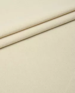 Двунитка суровая арт. ТТД-23-1-Б00186.001