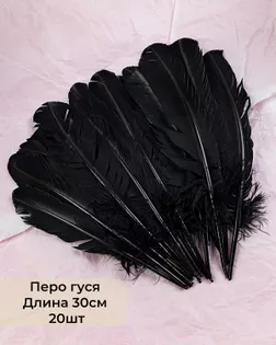 Перо гуся дл.30см 20шт арт. ППР-7-2-33645.002