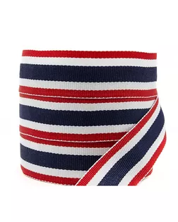 Лента лампас ш.2,5 см 50м арт. ЛТОТ-102-1-36443