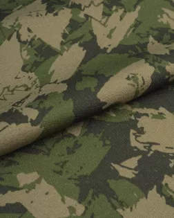 Трикотаж с начесом "Алекс" арт. ТДП-599-2-23016.002