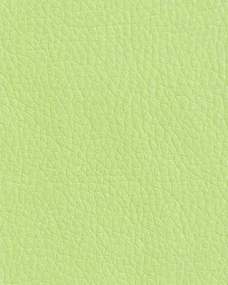 Oregon зеленый 19 арт. ТСМ-3183-17-ТСМ0004918