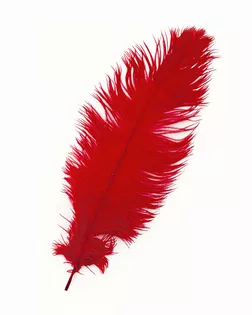 Перо страуса дл.20-30см (5шт) арт. ППР-12-1-41115.001