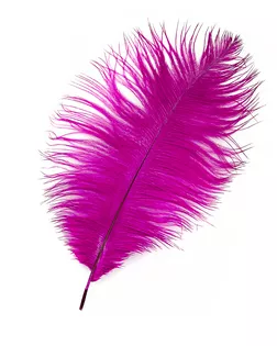 Перо страуса дл.20-30см (5шт) арт. ППР-12-5-41115.005