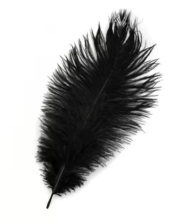 Перо страуса дл.20-30см (5шт) арт. ППР-12-3-41115.003