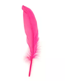 Перо голубя дл.15см 100шт арт. ППР-8-29-33646.026