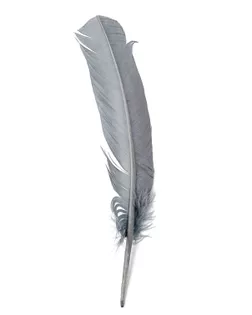 Перо гуся дл.30см 20шт арт. ППР-7-12-33645.012