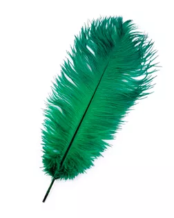 Перо страуса дл.20-30см (5шт) арт. ППР-12-11-41115.011