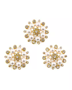 Пуговицы 42L д.2,6см 15шт арт. ПУДД-142-1-43016