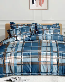 Бязь ш 220см, пл. 115гр/м2 100% хлопок. рис В-040 арт. БК-538-1-Б00500.014