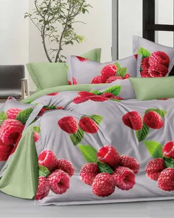 Поплин наб, Китай, шир.220см , пл.110гр/м , 100%хб, диз.VP32-, 0402, ПВ32-1502, А+В арт. ПК-2637-1-2021.305