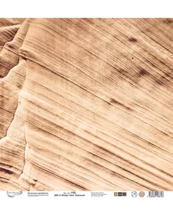 Бумага для скрапбукинга "Mr.Painter" PSR 2605 "Вокруг меня. Бежевый" 190 г/кв.м 30.5 x 30.5 см 10 шт. 6 арт. ГММ-114256-6-ГММ105208777844