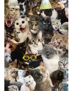 "ФРЕЯ" Пазл 500 деталей 32.5 x 47.5 см PZL-500/42 Кошачий беспредел арт. ГММ-100651-34-ГММ113186274534