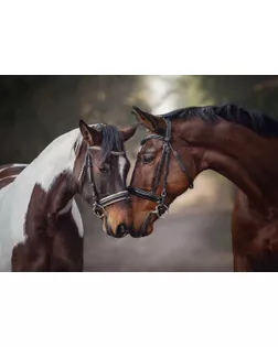 "ФРЕЯ" Пазл 1500 элемент. PZL-1500/29 Грация любви арт. ГММ-106283-24-ГММ115878451014