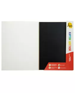 "Лео" "Учись" Картон цветной, мелованный LNSCC-04 200 г/м2 A4 21 х 29.7 см 10 л. 10 цв.  арт. ГММ-118605-1-ГММ141057683804
