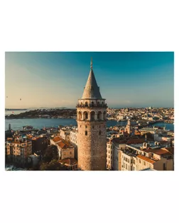 "ФРЕЯ" Пазл. Премиальная коллекция 1000 элемент. TOP-PZL-1000/12 Галатская башня арт. ГММ-119153-12-ГММ143567484994