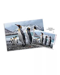 "ФРЕЯ" Пазл. Премиальная коллекция 500 элемент. TOP-PZL-500/08 Земля пингвинов арт. ГММ-119050-2-ГММ143567780934