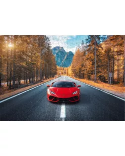 "ФРЕЯ" Пазл 500 деталей 32.5 x 47.5 см PZL-500/101 Навстречу осени арт. ГММ-100651-92-ГММ153659195124