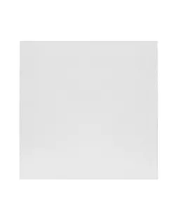 Холст грунтованный на подрамнике "NO NAME" "Ученический" УСХ-2020 100% лён 20 х 20 см 390 г/кв.м 2 шт ученический среднезернистый среднезернистый арт. ГММ-119998-1-ГММ160069542824