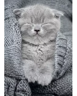 "ФРЕЯ" Пазл 500 деталей 32.5 x 47.5 см PZL-500/27 Комочек тепла арт. ГММ-100651-19-ГММ087068370444