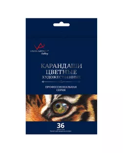 "VISTA-ARTISTA" VGCP-36 "Gallery" Набор цветных карандашей 4 х 36 цв.  арт. ГММ-112903-1-ГММ082985887974