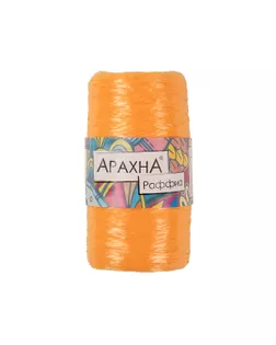 Пряжа "ARACHNA" "Raffia" 100% полипропилен 5 х 50 г 200 м ± 12 м арт. ГММ-6776-23-ГММ0035833
