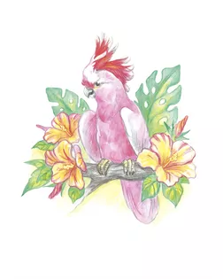 "ФРЕЯ" RPSA-0011 "Австралийский розовый какаду" Скетч для раскраш. акварельными карандашами 29.7 х 21 см 1 л.  арт. ГММ-105096-1-ГММ071907213734