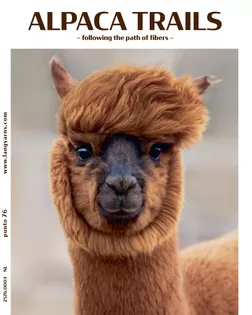 Журнал "PUNTO 76 ALPACA"RUS арт. ГЕЛ-36026-1-ГЕЛ0197744