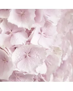 Салфетки трехслойные для декупажа, коллекция "Lunch" Sagen Vintage Design "Гортензия" арт. ГЕЛ-14904-1-ГЕЛ0098715