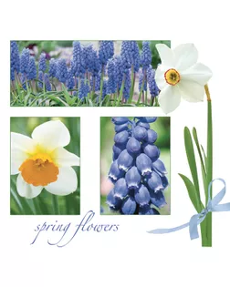 Салфетки - трехслойные, Maki, коллекция "Весенний ланч" арт. ГЕЛ-14556-1-ГЕЛ0102963